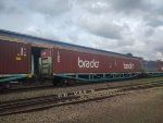 BRAD PCT-080086-4